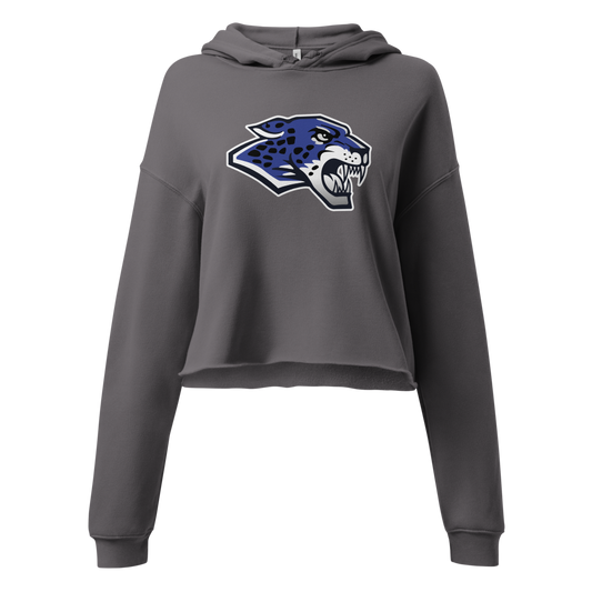 Desert Pines High School Design 1 — Storm