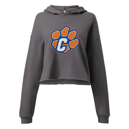 Chilton County High School Design 1 — Storm