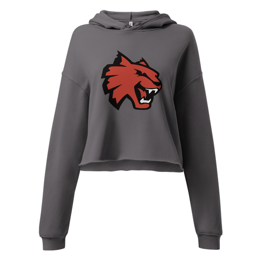 Las Vegas High School Design 1 — Storm