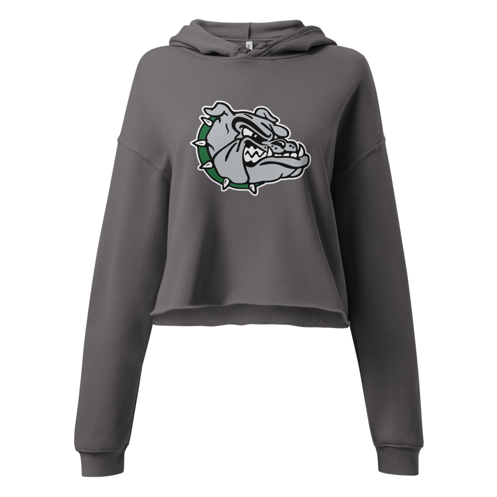 Virgin Valley High School Design 1 — Storm