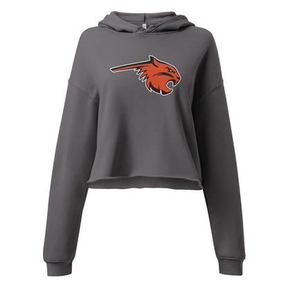 Fultondale High School Design 1 — Storm