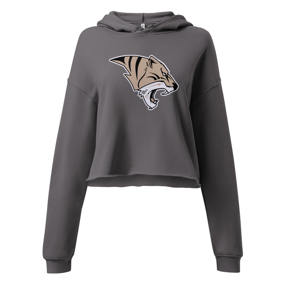 Ardmore High School Design 1 — Storm