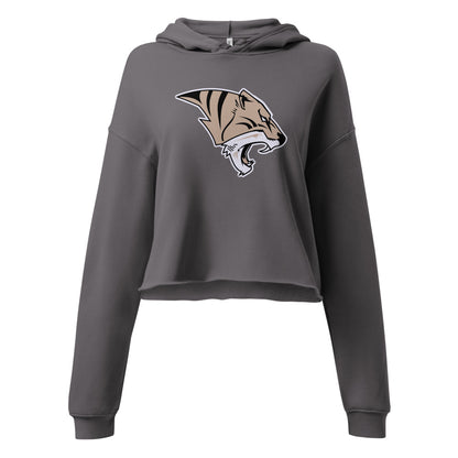 Ardmore High School Design 1 — Storm