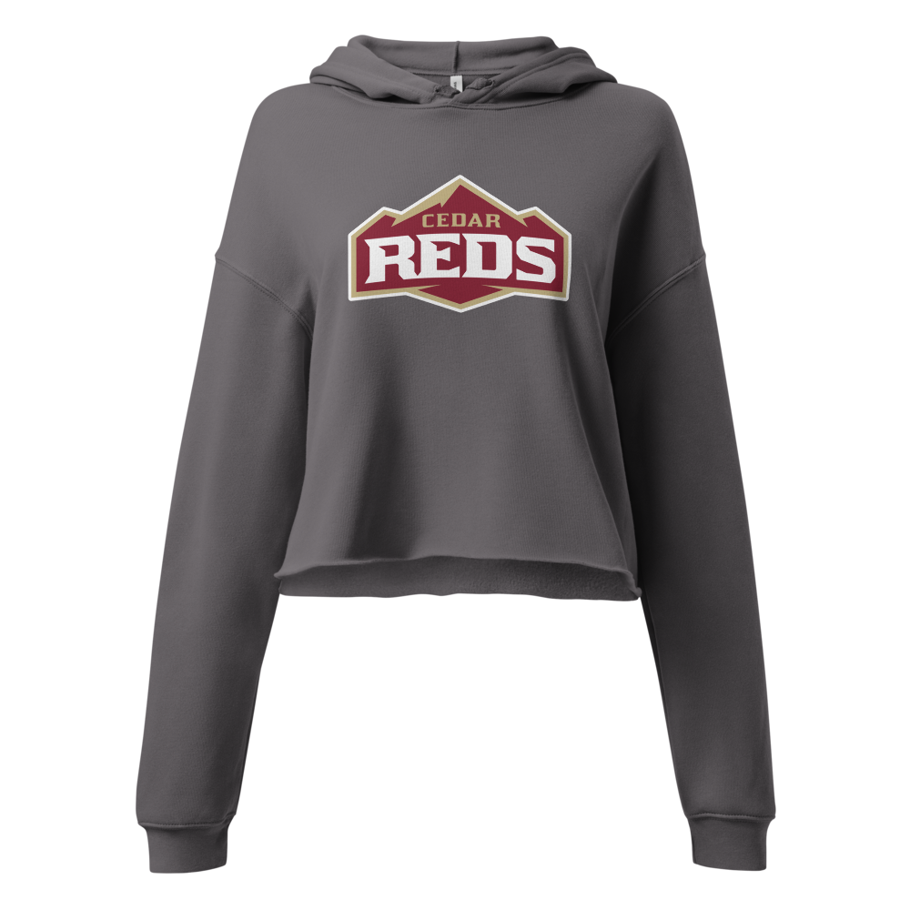 Cedar High School Design 1 — Storm