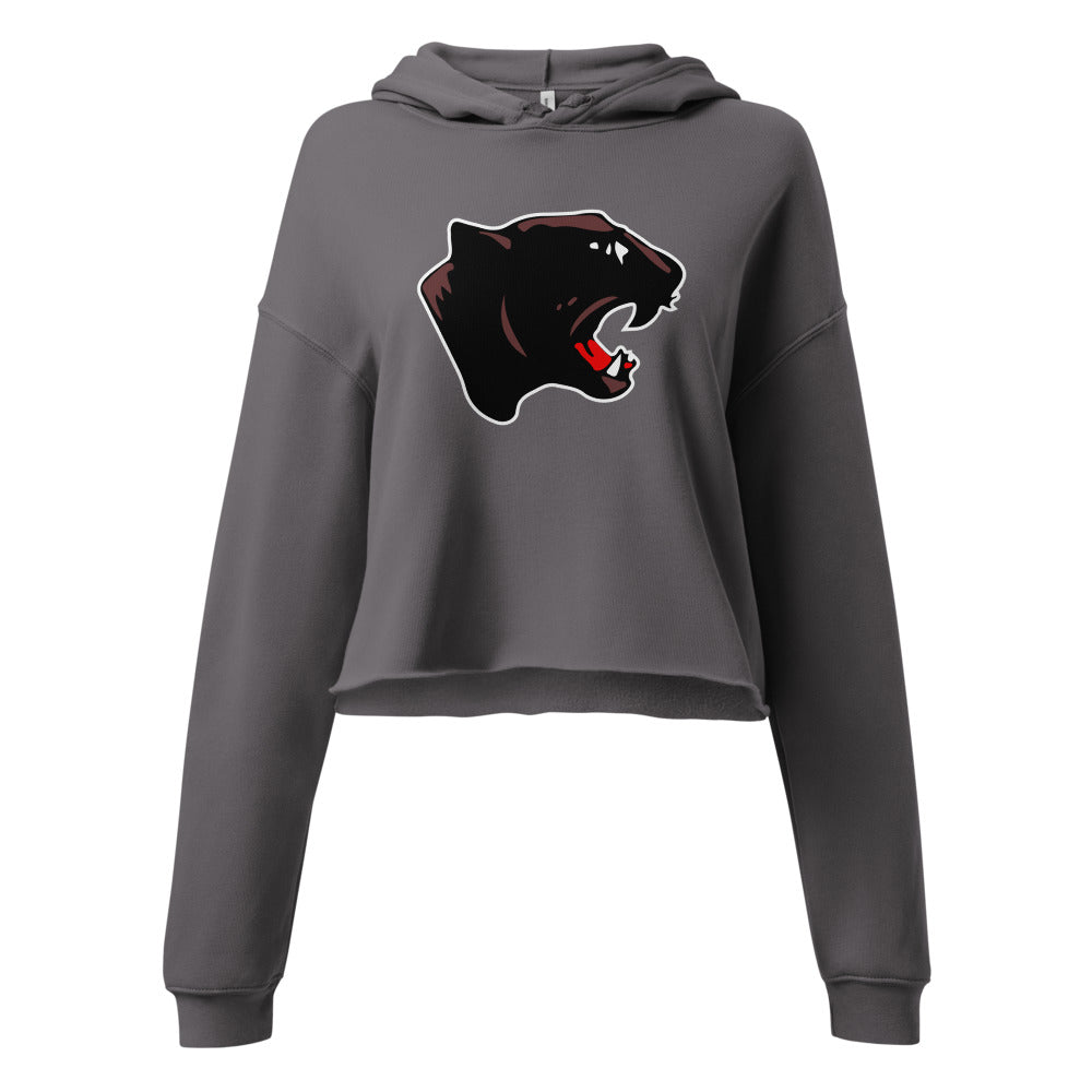 Collinsville High School Design 1 — Storm