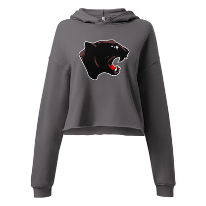 Collinsville High School Design 1 — Storm