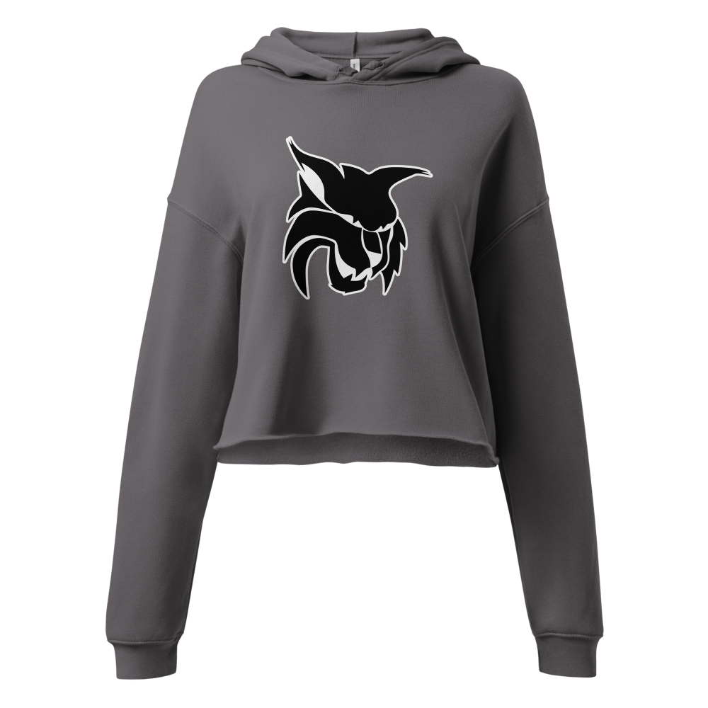 Lincoln County High School Design 1 — Storm