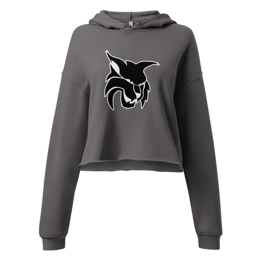 Lincoln County High School Design 1 — Storm