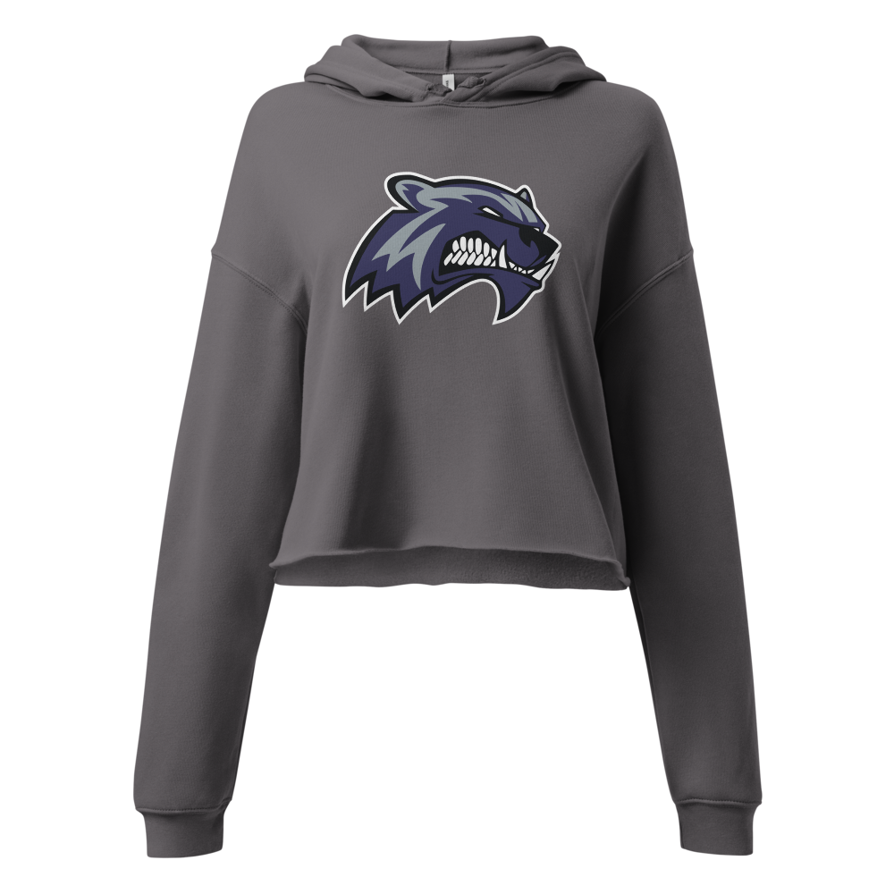 Hunter High School Design 1 — Storm