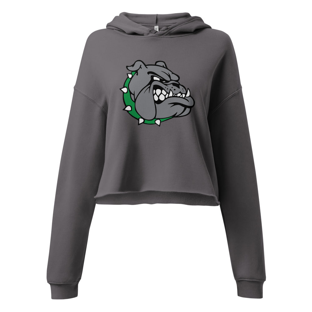 Holtville High School Design 1 — Storm
