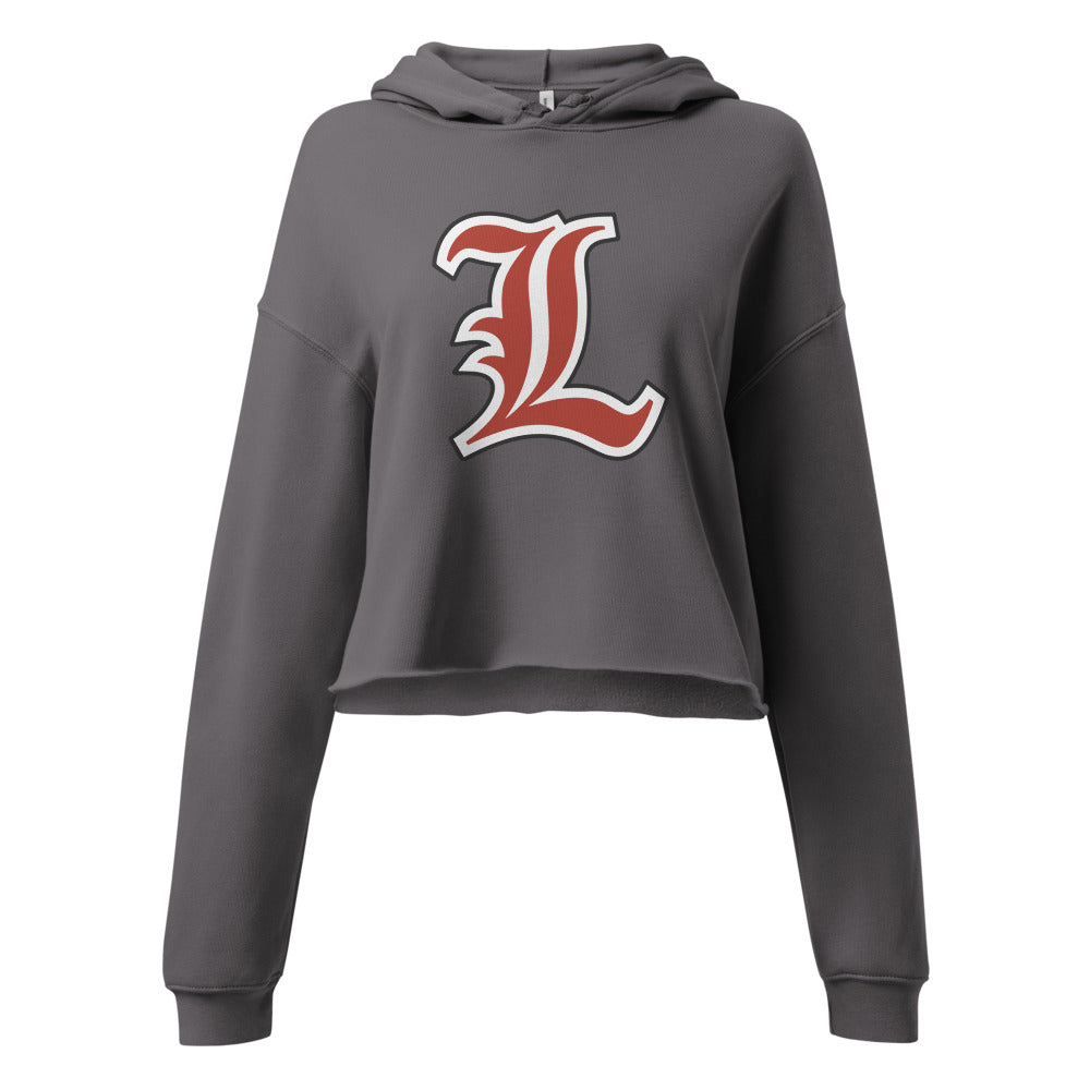 Luverne School Design 1 — Storm
