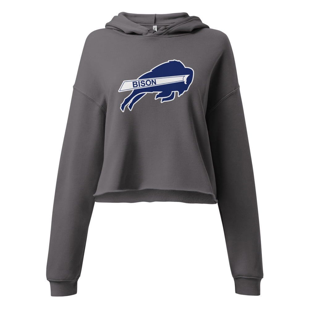 North Sand Mountain High School Design 1 — Storm