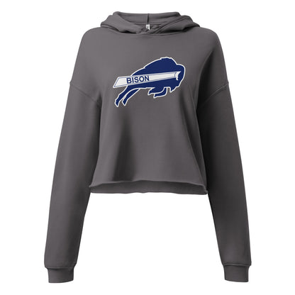 North Sand Mountain High School Design 1 — Storm