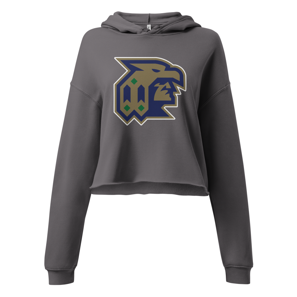Snow Canyon High School Design 1 — Storm