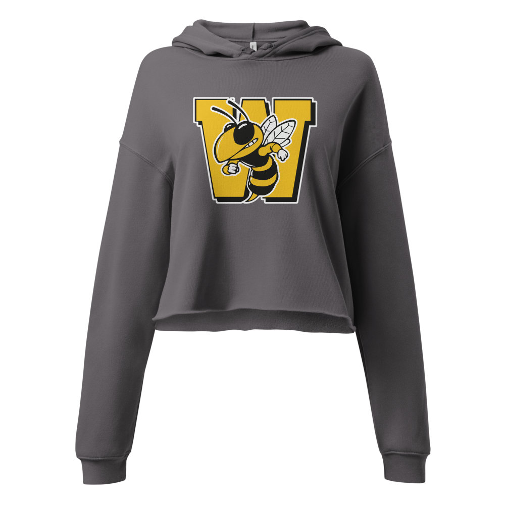 Wasatch High School Design 1 — Storm