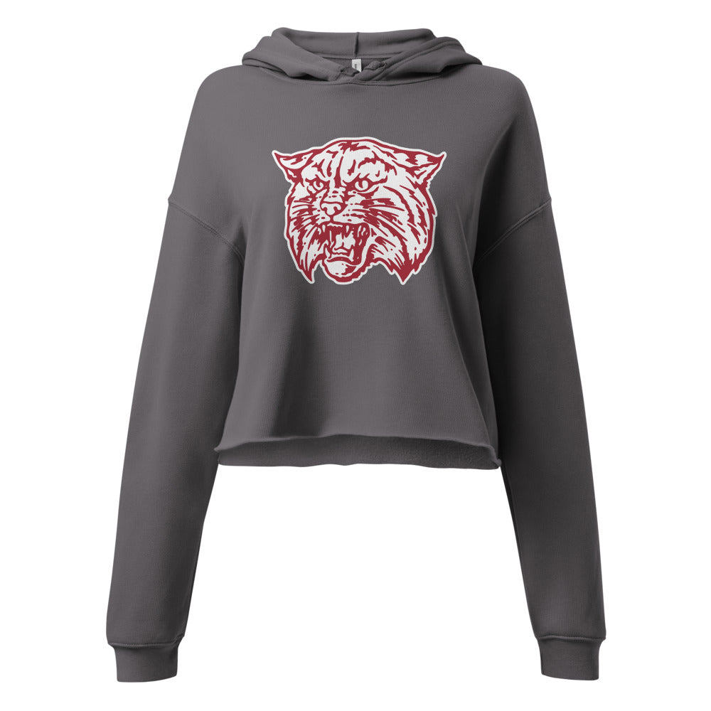 Saks High School Design 1 — Storm