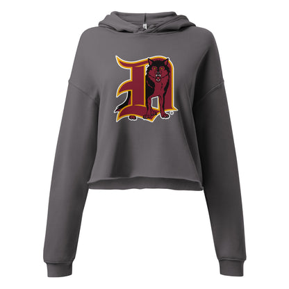 Dothan High School Design 1 — Storm