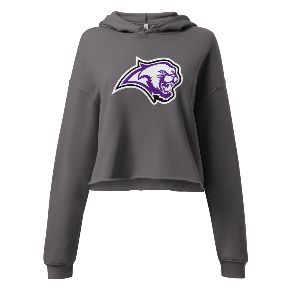 Spanish Springs High School Design 1 — Storm