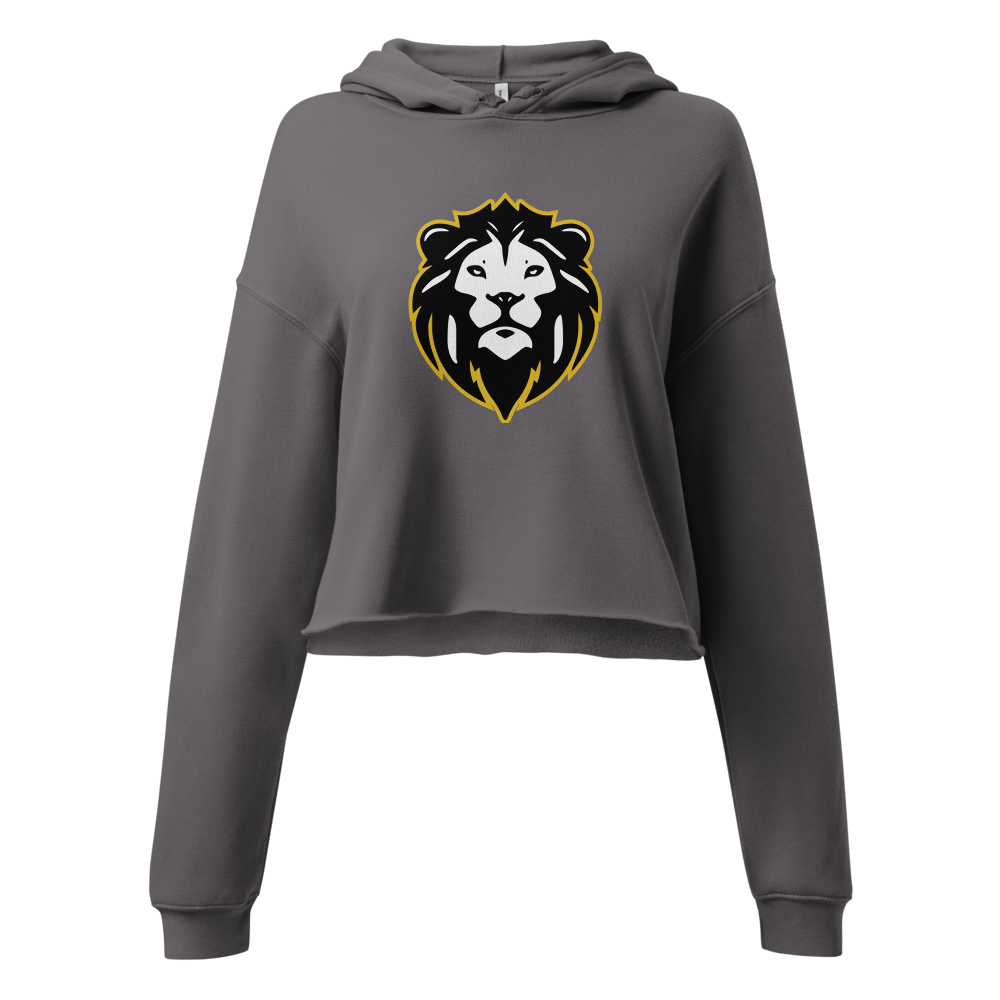 Roy High School Design 1 — Storm