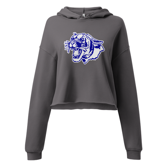 Jackpot Combined School Design 1 — Storm
