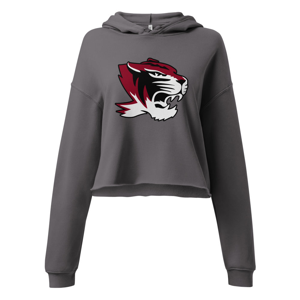 Hartselle High School Design 1 — Storm