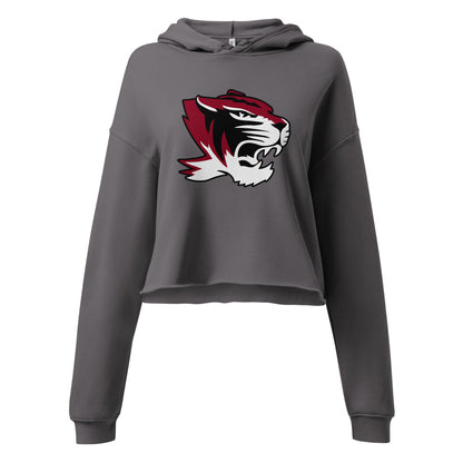 Hartselle High School Design 1 — Storm