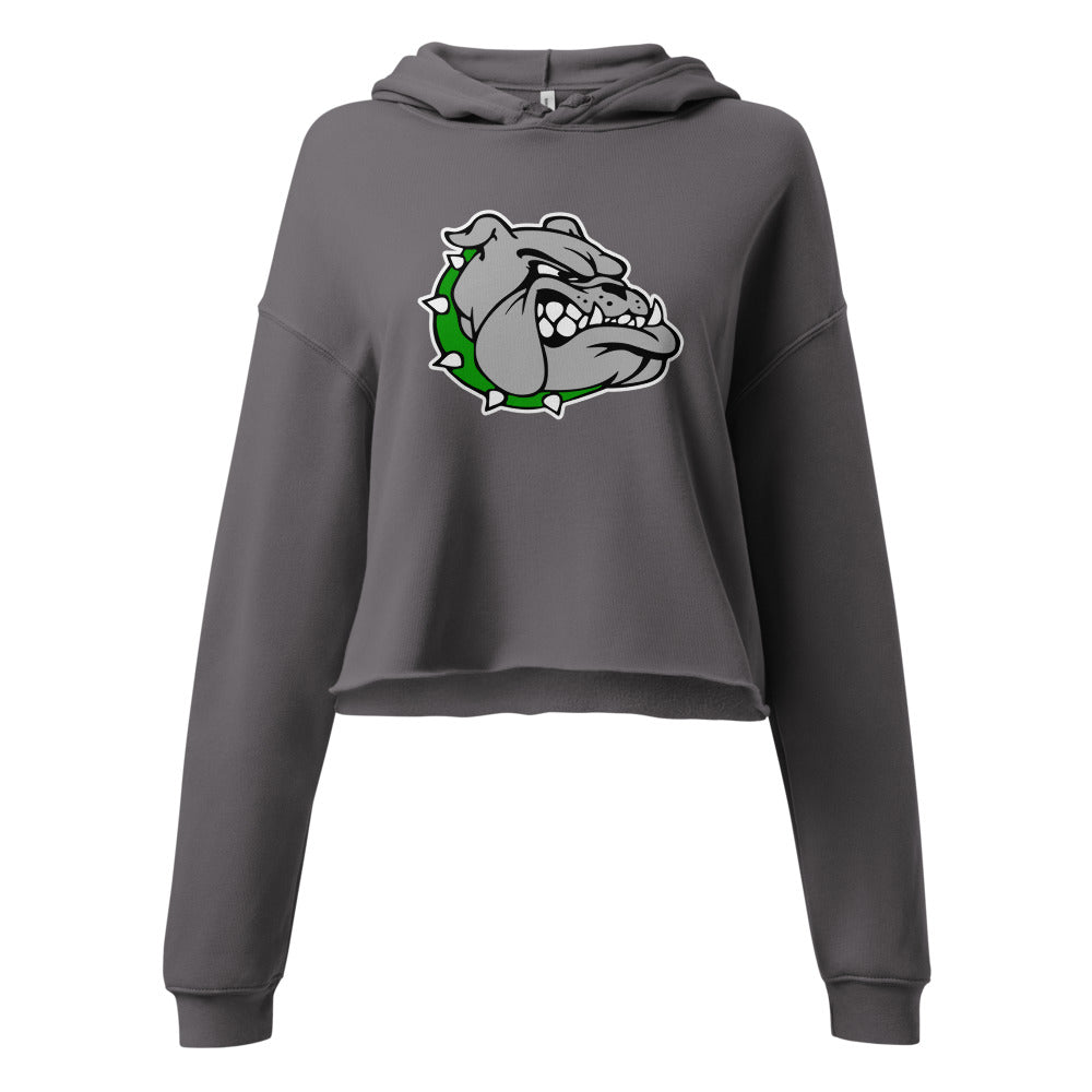 Ashville High School Design 1 — Storm