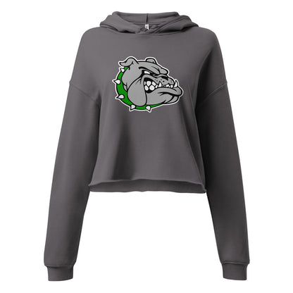 Ashville High School Design 1 — Storm