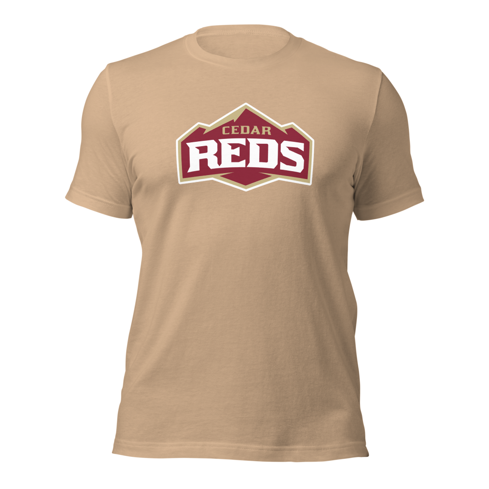 Cedar High School Design 1 — Tan
