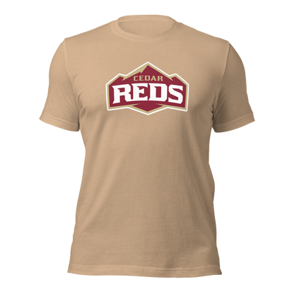 Cedar High School Design 1 — Tan