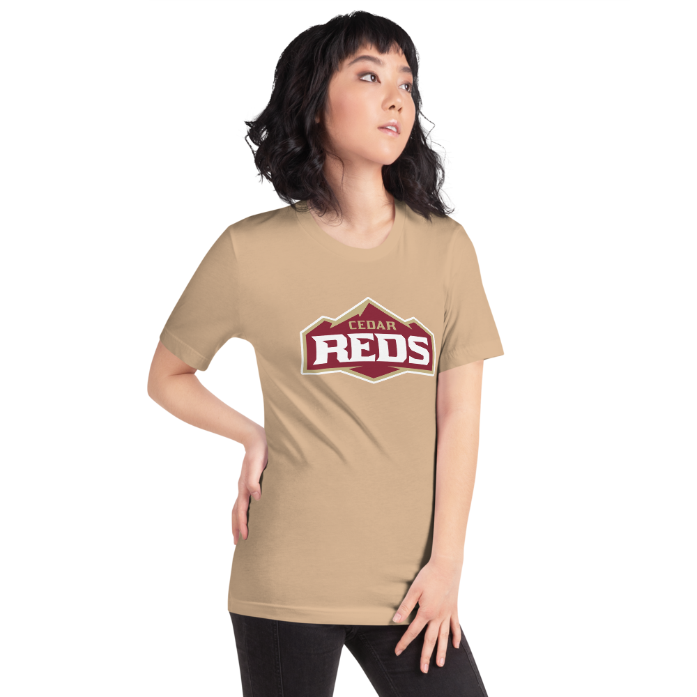 Cedar High School Design 1 — Tan