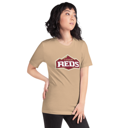 Cedar High School Design 1 — Tan