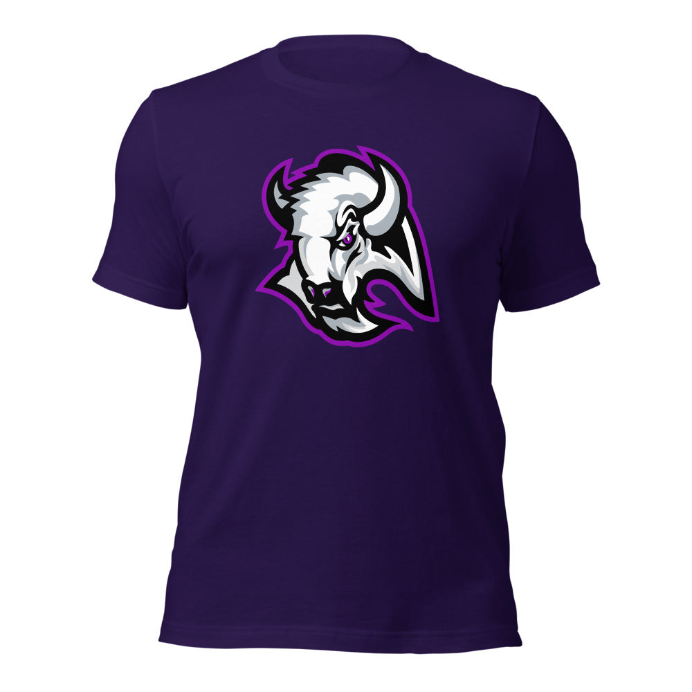 A H Parker High School Design 1 — Team Purple