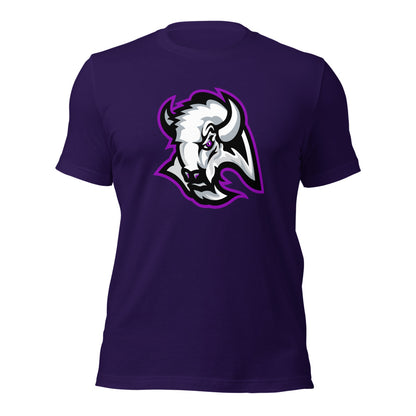 A H Parker High School Design 1 — Team Purple