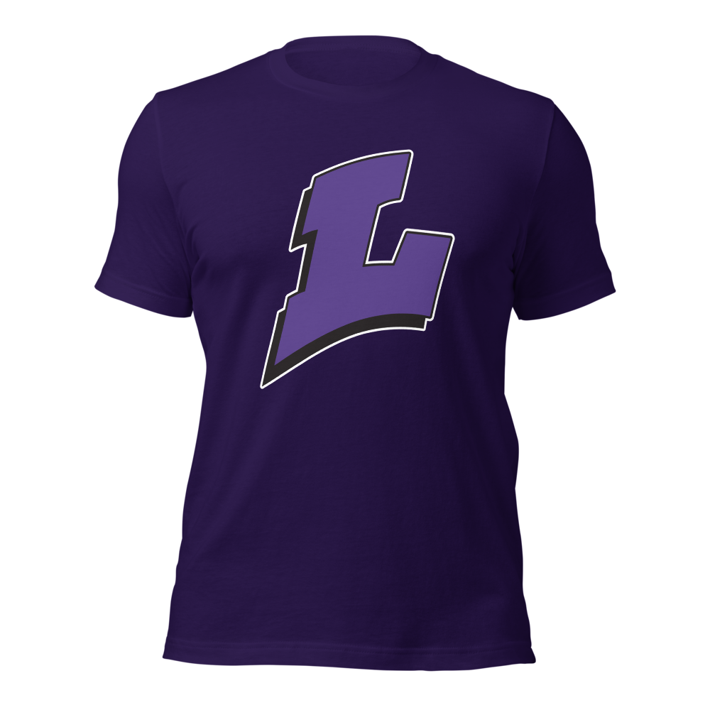 Lehi High School Design 1 — Team Purple