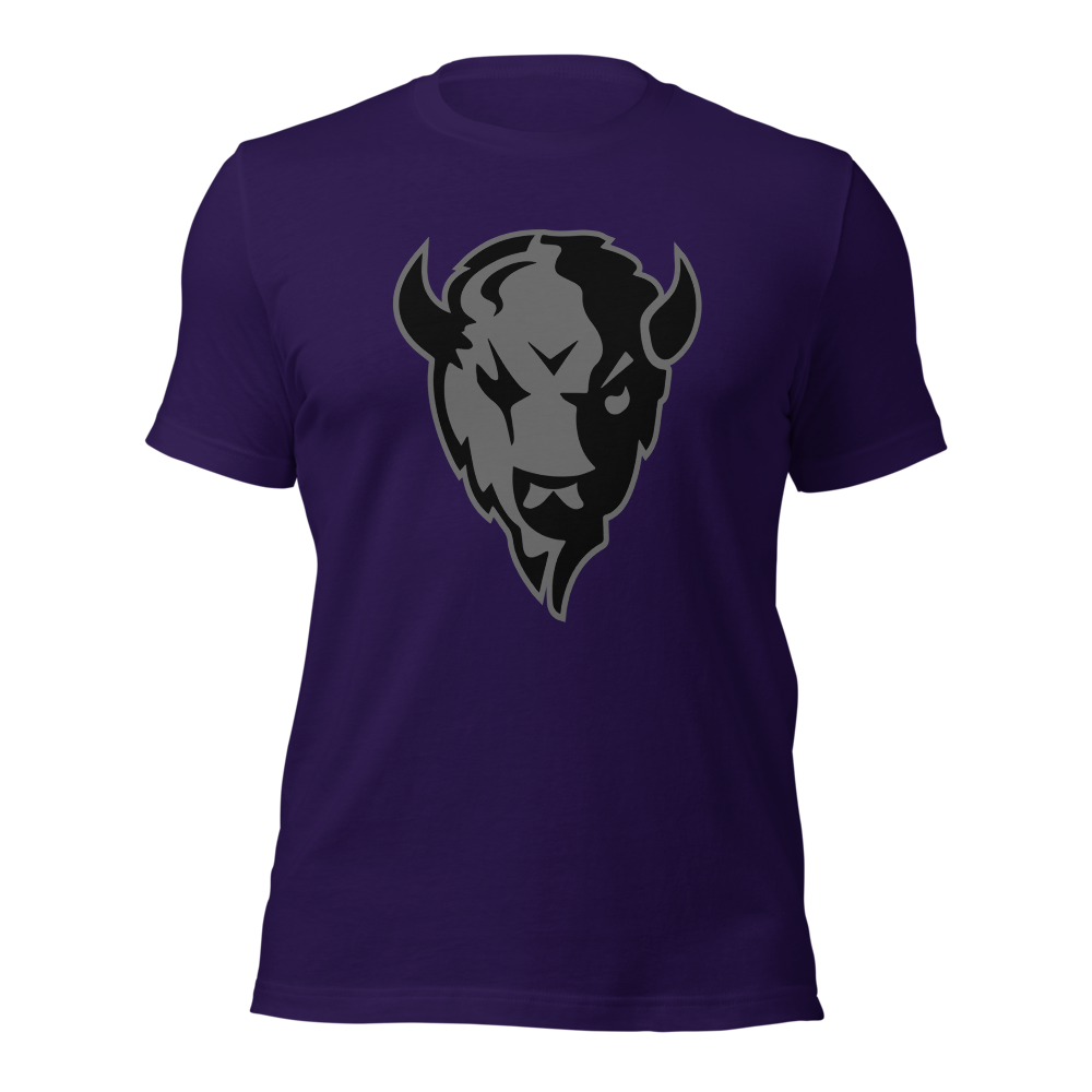 Tooele High School Design 1 — Team Purple