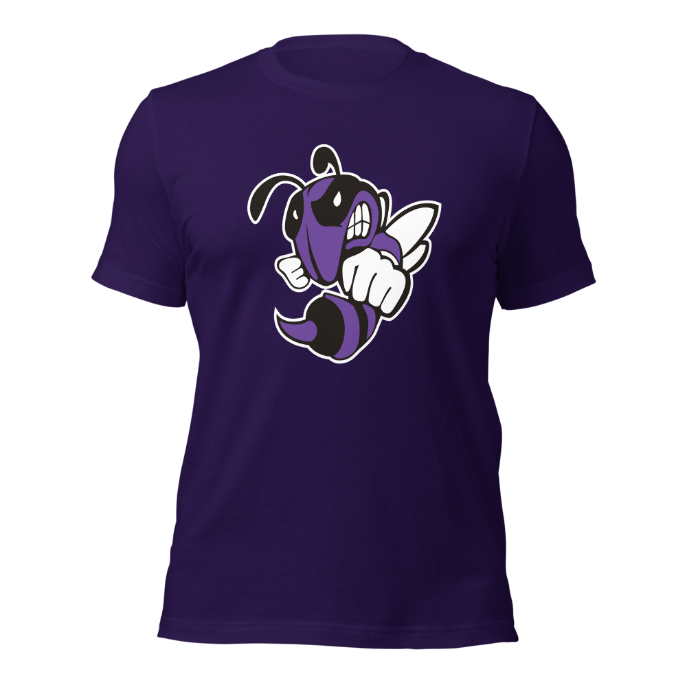 Box Elder High School Design 1 — Team Purple
