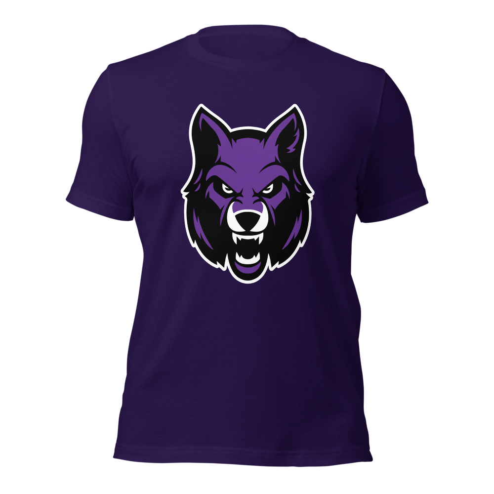 Riverton High School Design 1 — Team Purple