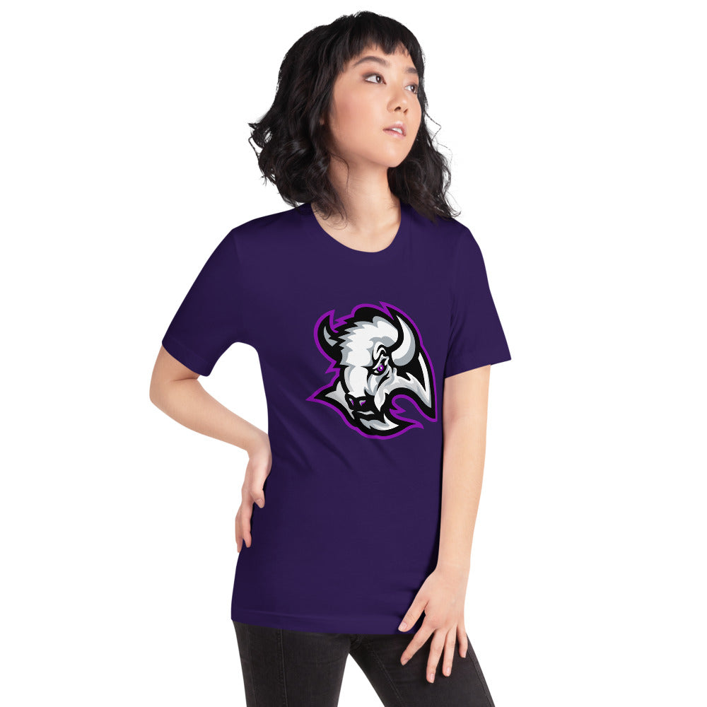 A H Parker High School Design 1 — Team Purple