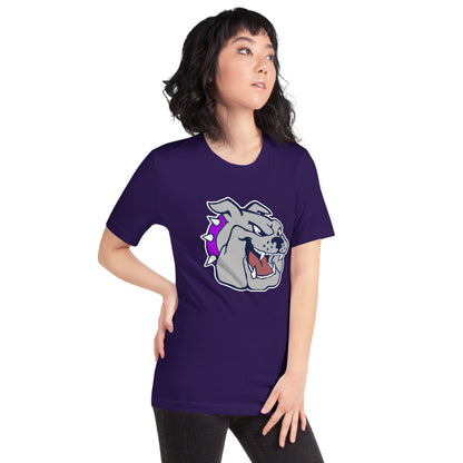 Sheffield High School Design 1 — Team Purple