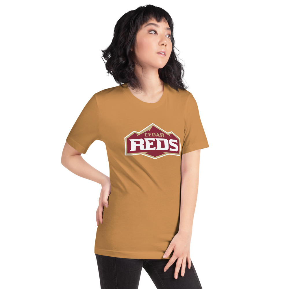 Cedar High School Design 1 — Toast