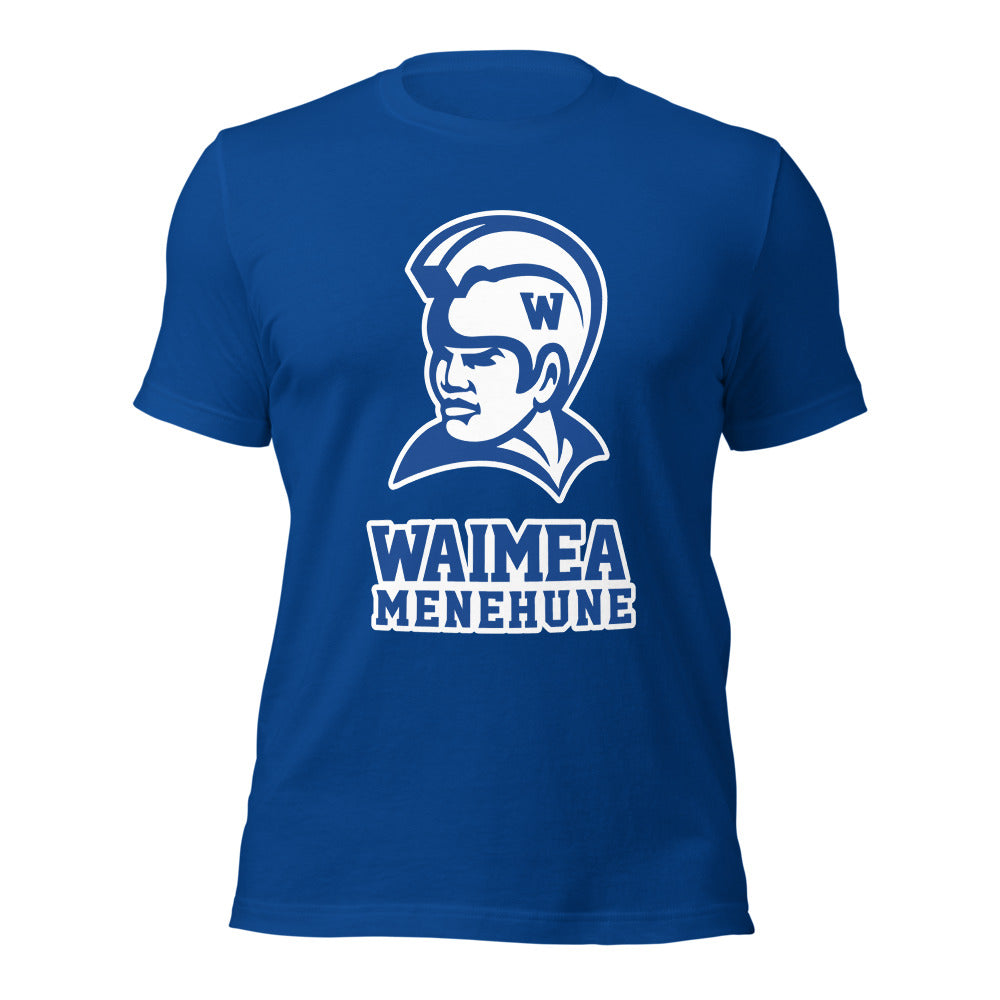 Waimea High School Design 1 — True Royal