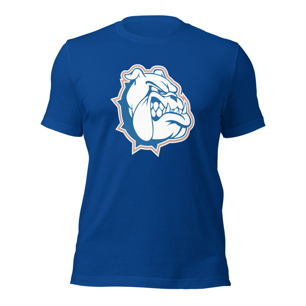 Addison High School Design 1 — True Royal