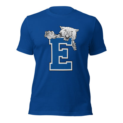 Enterprise High School Design 1 — True Royal