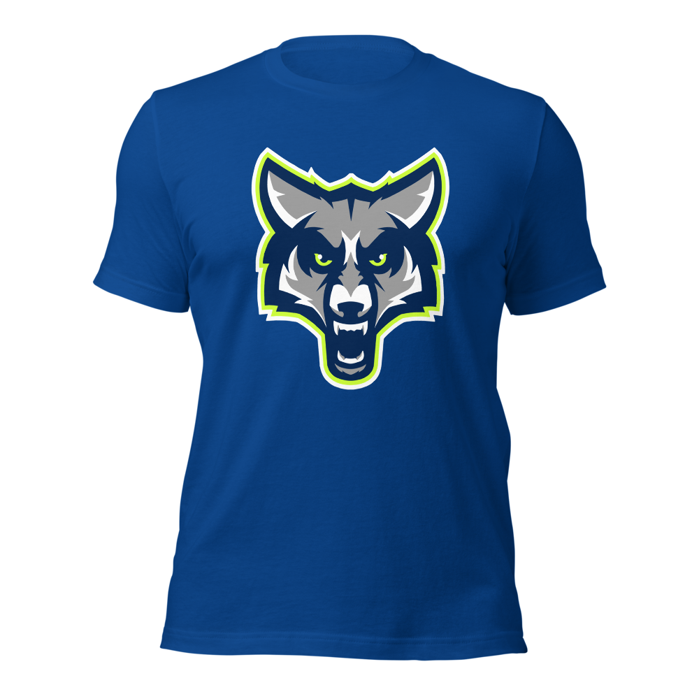 Timpanogos High School Design 1 — True Royal