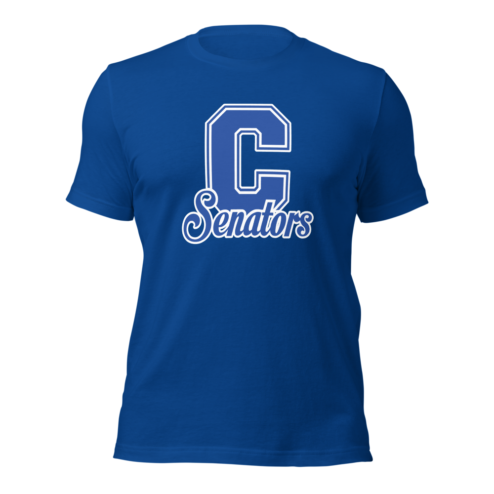 Carson High School Design 1 — True Royal