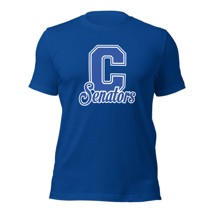Carson High School Design 1 — True Royal