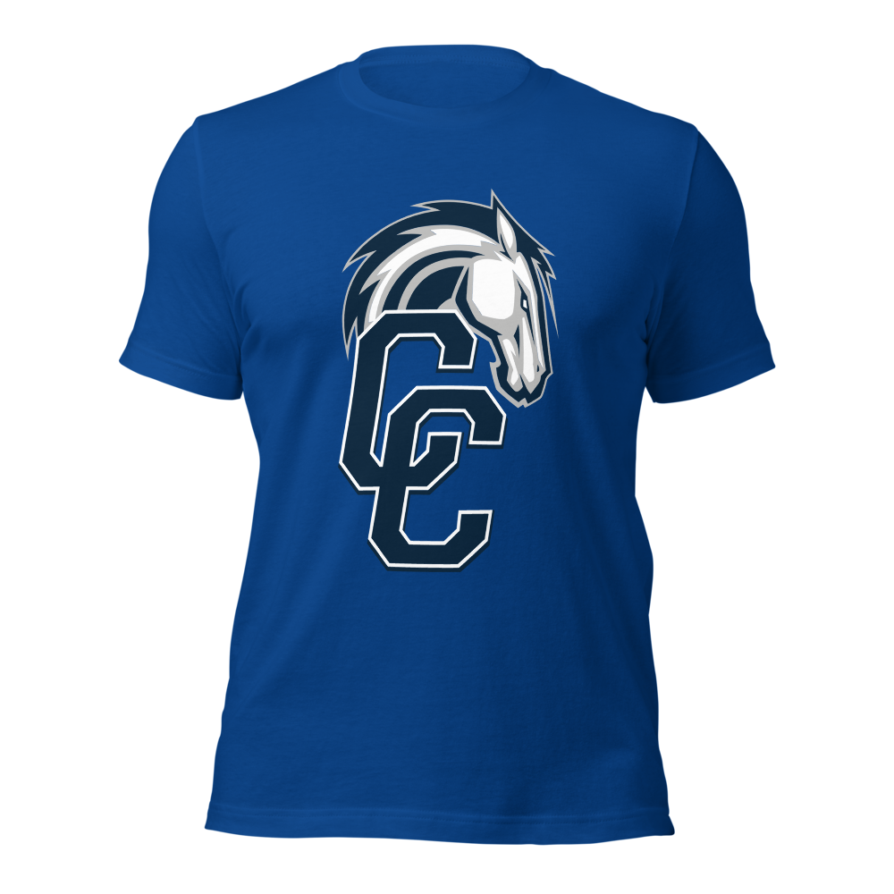 Corner Canyon High School Design 1 — True Royal