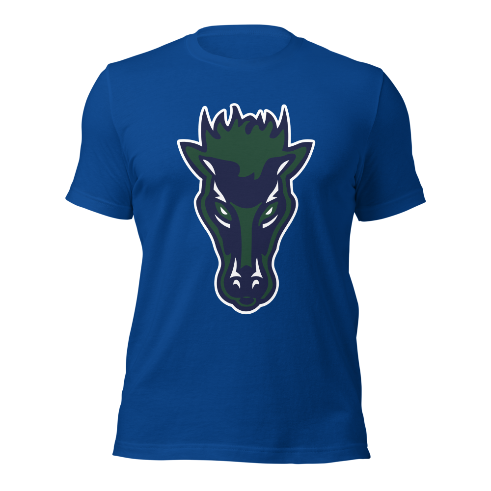 Damonte Ranch High School Design 1 — True Royal