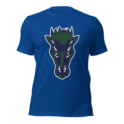 Damonte Ranch High School Design 1 — True Royal